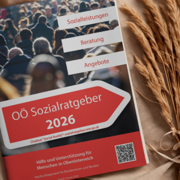 sozialratgeber 2026